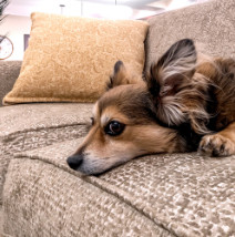 Image for Post - Should You Live with an Aging Parent?